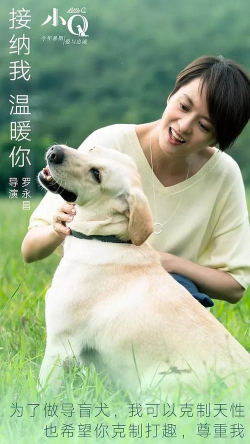 学位认证申请单编号是什么意思